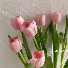 Guest_Dudaa36077