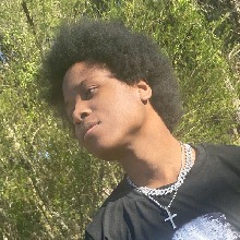 immagine avatar