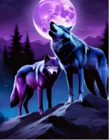 Guest_NightSkyWolves