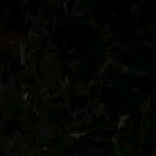 Guest_Abelito1