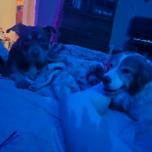 Guest_Maddie202547