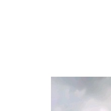 Guest_Zante4