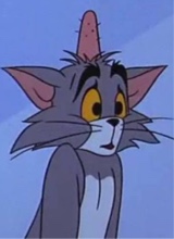 damnitszi