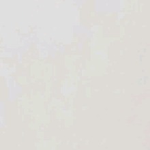 Guest_Zafira30