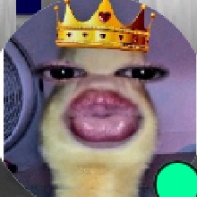 Guest_cutedeepsaffron17f1