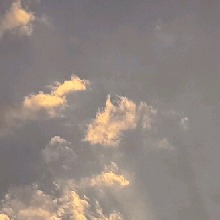 Guest_Kklk4