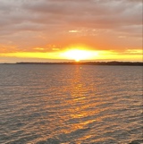 Guest_Sanchez27