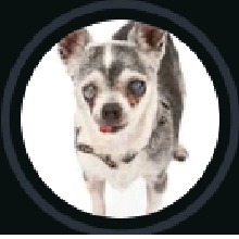 Guest_princebrightceru5062