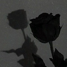 Guest_Dri272511