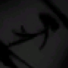 Guest_TowXz1