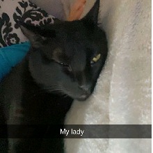 Guest_JackieMunoz1