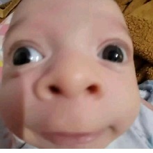 Guest_Larissa128
