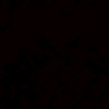 Guest_55l5