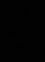 Guest_ISA728577