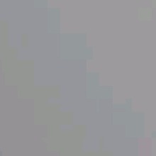 Guest_Gui909887