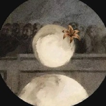 Portrait de l'avatar