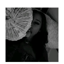 Guest_Amani535599