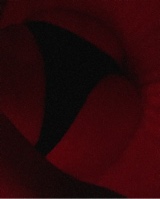 Guest_prettybabssdddd