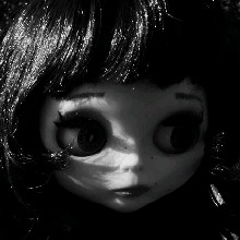 Guest_Maya533315