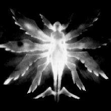Guest_0n1x