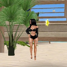 Guest_Ivyyy14
