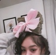 Guest_iiamyanni3784