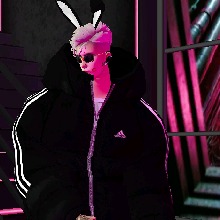 Guest_DaviSanto