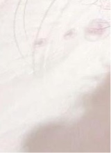 Guest_AmyCH