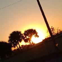 Guest_Grace7645