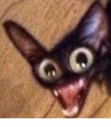 Guest_AnnoyinggRat