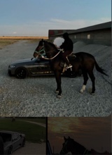 Guest_aab11