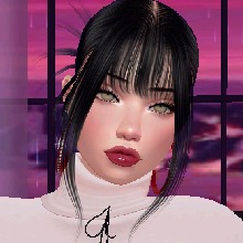 Guest_Vivi355334