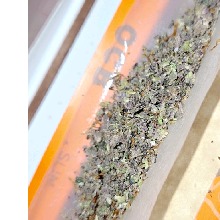 Guest_StonedStaruk