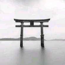 Guest_Pedro2601