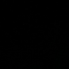 foto del avatar