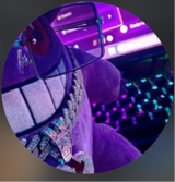 Guest_Brailin22
