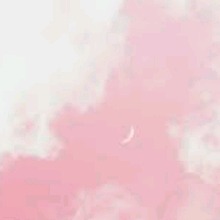 Guest_Ava92959