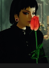 Guest_Angela1606