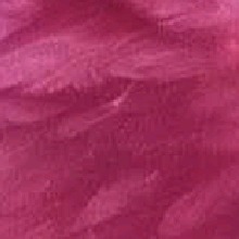 Guest_Nikita20