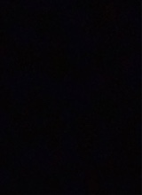 immagine avatar