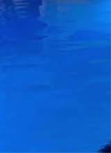 Guest_irlanda41