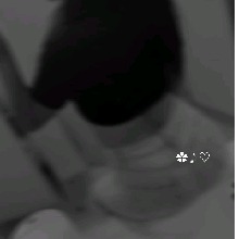 Guest_Rous69