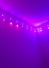 Guest_Mari257624