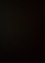 Guest_Shradha69