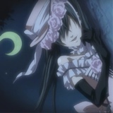 ViolaSnowdrop