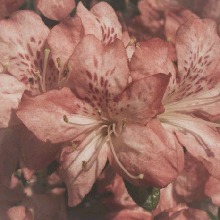 Guest_Erikaaa07