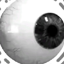 Guest_Besty5