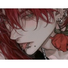 Guest_Ant103