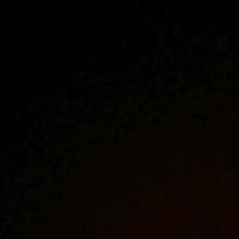 Guest_Mard26