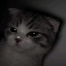 Guest_Ravenakj